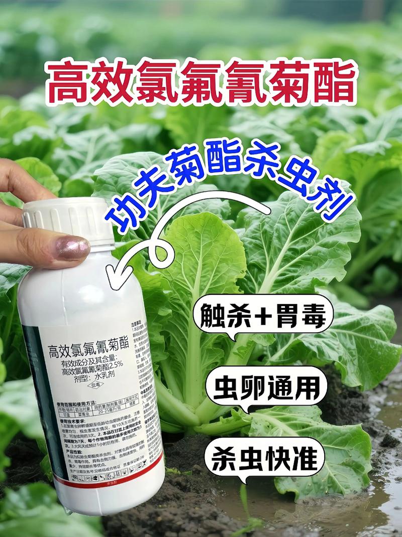 信阳代生中心:农药对供卵代生妈妈的危害